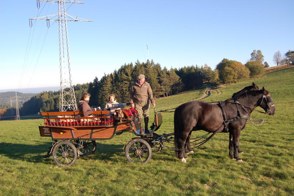 Ferienwohnungen Westfalenhof Willingen  Εξωτερικό φωτογραφία