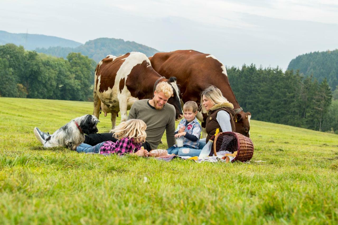 Ferienwohnungen Westfalenhof Willingen  Εξωτερικό φωτογραφία